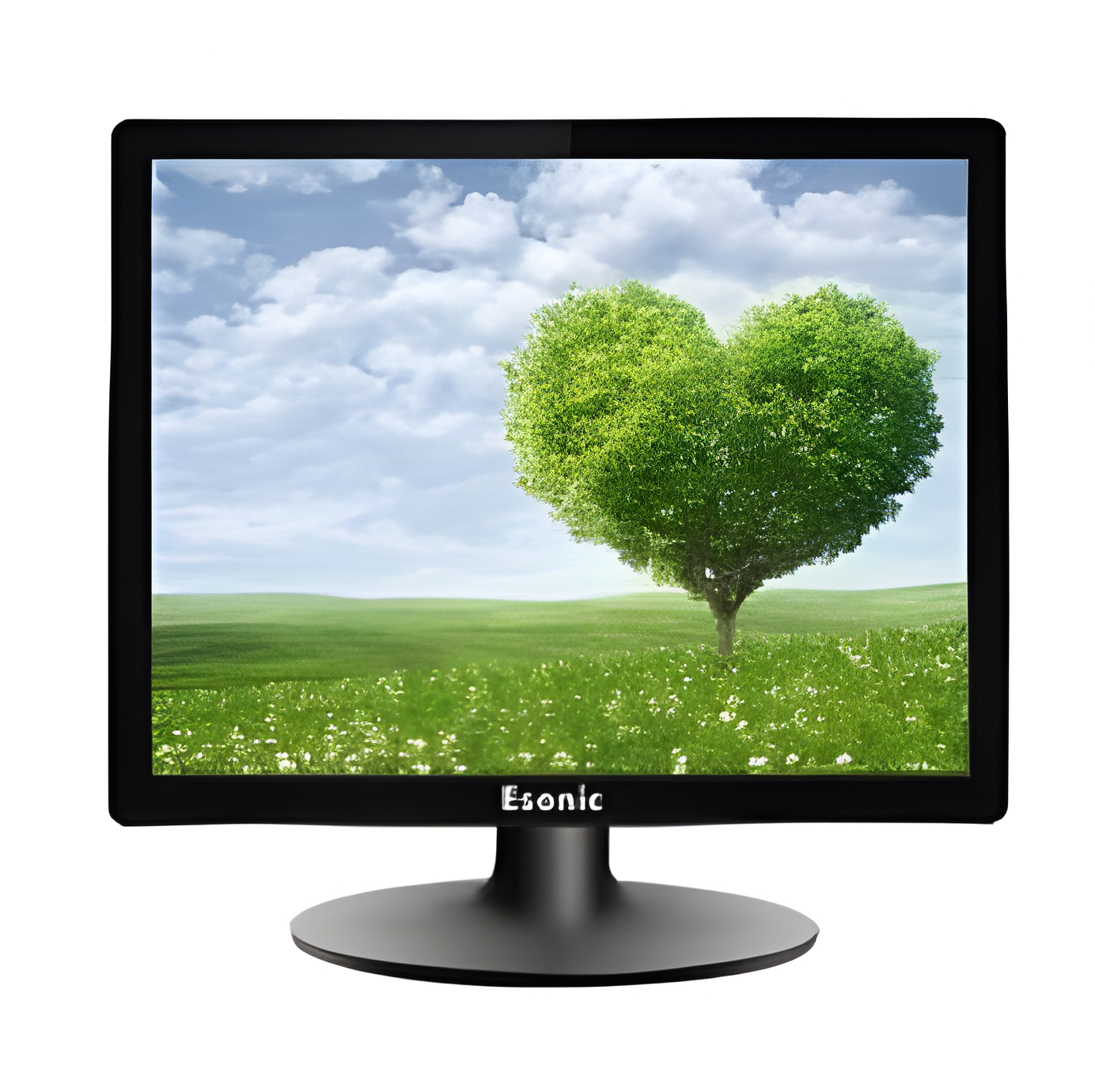 Esonic ES1701 LED Monitor Esonic ES1701 LED Monitor
