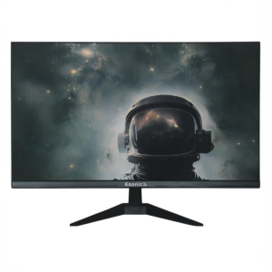 Esonic EM19S HD Monitor